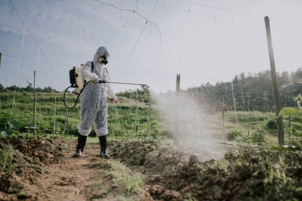 Best Best Pest Control Companies  in Westhampton, NY